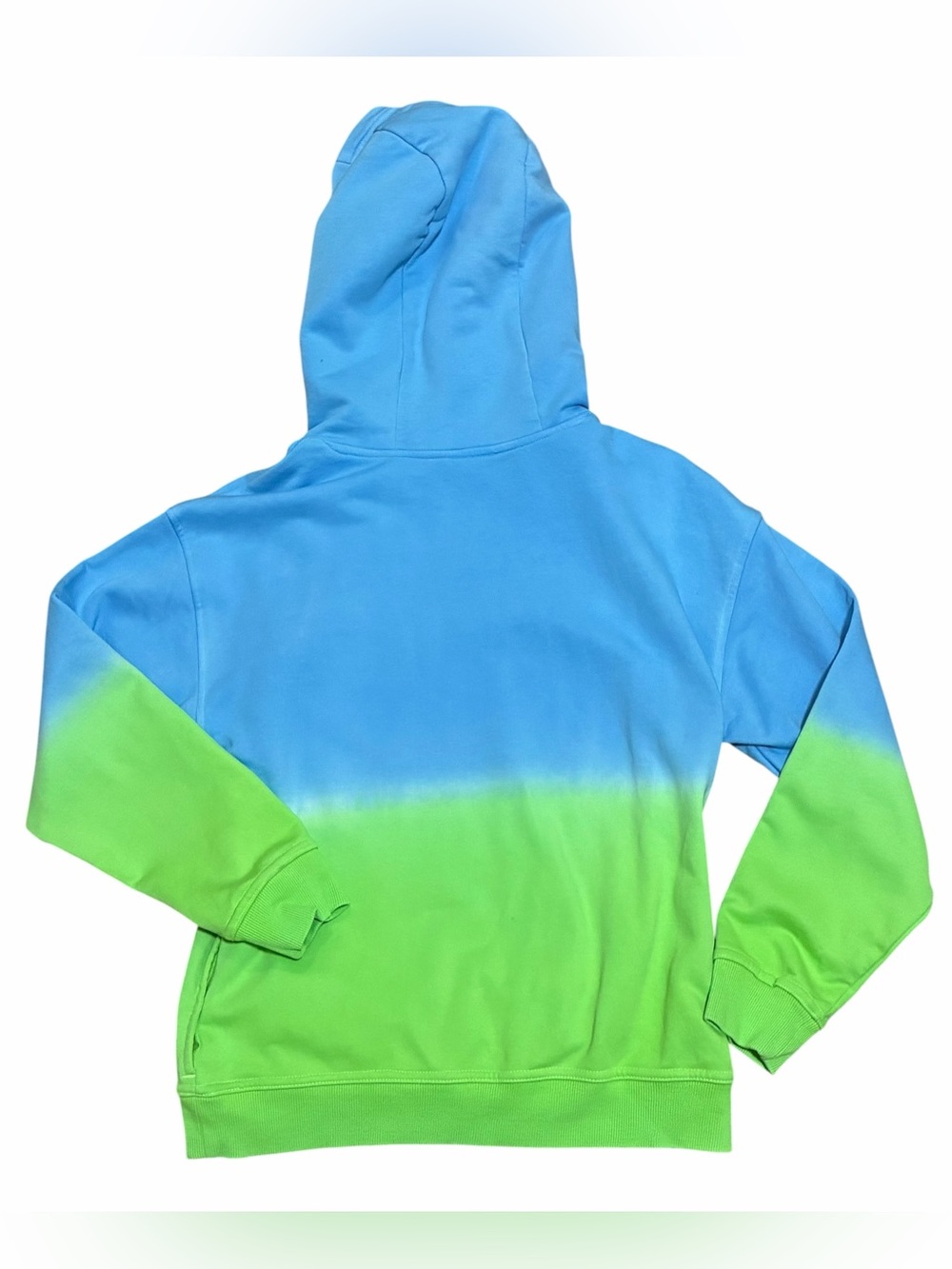 Disney Coco Alebrije Dante Hoodie Kids 9 10 Blue Green Ombre Sweater Boys Girls - Picture 2 of 7